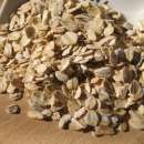 ������ ������� ������ ������������