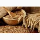 ������ ������� ������ ������������ - ����������� 2