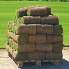 ������, �������, ������ �������������� ������� ������ ������, ����! - ����������� 1