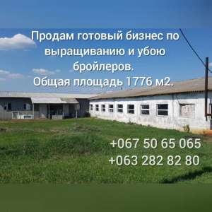 ������ ������� ������, ���������(������ ��������) - ����������� 1