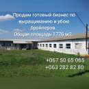 ������� � ����������: ������ ������� ������, ���������(������ ��������)