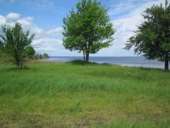 ������� � ����������: ������ ������� ������� (20 �� �� ���� ���������) �������� �������