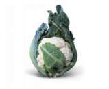 ������� � ����������: ������ ������� ������� Misora F1 / ������ F1 (������)