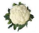 ������� � ����������: ������ ������� ������� VANZA F1 / ����� F1 ����� ������