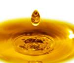 ������� � ����������: ������ ������� ������� ��� ��������