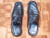 ������� � ����������: ������ ������� ������� ����� Fabi