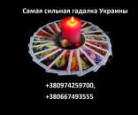 ������� � ����������: ������ ������� ������� ������. ������� � �������.