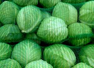 ������ ������� ������� ������� ����� �� 20 � - ����������� 1