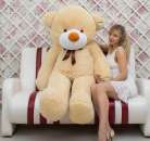 ������� � ����������: ������ ������� - ������� �������� �����.