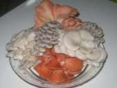 ������ ������� ������� ����������, �������, �������.. �����! �� ������ - ����������� 3