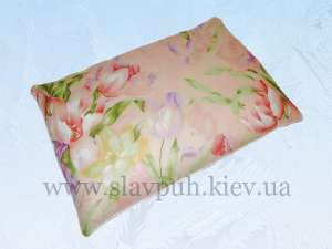 ������ �������. ������� �����������. �������. - ����������� 1