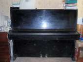 ������� � ����������: ������ ������� �������� 1968 ���� �������.