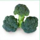 ������� � ����������: ������ ������� �������� Cazzy F1 / ����� F1 ����� ������