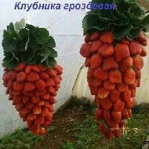 ������ ������� �������� � ������ - ����������� 1