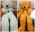 ������ ������� �������� �����!. ������� ��� - �������/�������