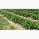 ������ ������� �������� ������ �� 20 ���. - ����������� 2