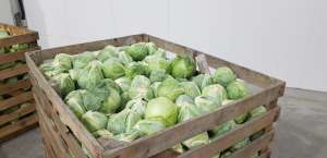 ������ ������� ��������. ������ ������ - ����������� 1