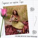 ������. �������. ��������. �������.