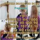 ������� � ����������: ������ ������� �������� ������� ������� � �������� ������