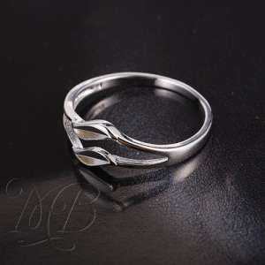 ������ �������. �������� �������, �������� �������� � ��� ����� - ����������� 1