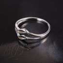 ������� � ����������: ������ �������. �������� �������, �������� �������� � ��� �����