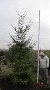 ������ �������, ��������, ��������� - ����������� 1