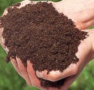 ������� � ����������: ������, �������, ��������, ������������ ��������� ����, ����, ��������!