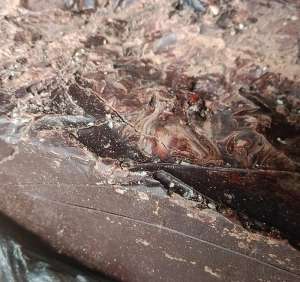 ������ �������, ��������, ������������ ����������, ���� - ����������� 1