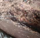 ������� � ����������: ������ �������, ��������, ������������ ����������, ����