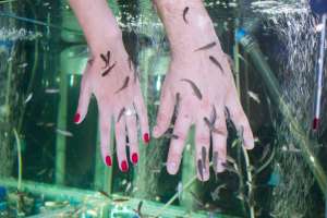 ������ ������� �����-���� � �� �������, ���������� ����������� - ����������� 1