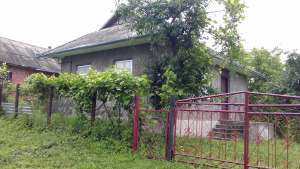 ������ ������� ��������� �. ������������ - ����������� 1