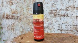 ������ ������� ��������� ����� 4 ������-4 - ����������� 1