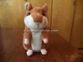 ������� � ����������: ������ ������� - ��������� �����