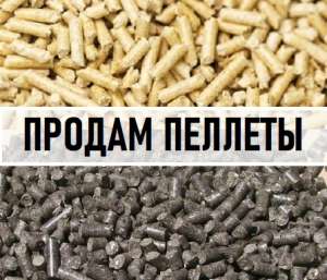 ������ ������� ��������� ����� || ���-��� �� 1 � || ������� �� ������ ���������� - ����������� 1