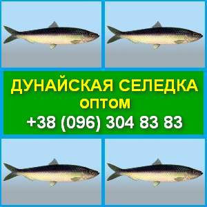 ������ �������. ��������� �������. �����. ���������, ��������. - ����������� 1