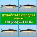 ������� � ����������: ������ �������. ��������� �������. �����. ���������, ��������.