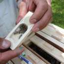 ������ ������� ���������� ���������� ������ - ����������� 3