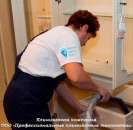 ������ �������. ����������� � ����� ������������ ������ �������. - ����������� 2