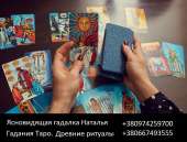 ������� � ����������: ������ ������� �����������. ������� �� ������ ����. ��������� ������� �����.