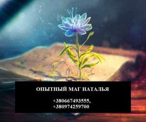 ������ ������� �����������. ������� ��� ����������� ��������. - ����������� 1