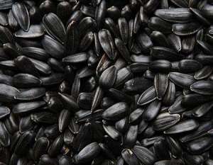 ������ ������� ������������ - ����������� 1