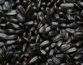 ������ ������� ������������