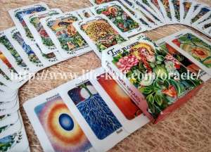 ������ ������� ������������ �� ���� ������ �������. ������� - ����������� 1