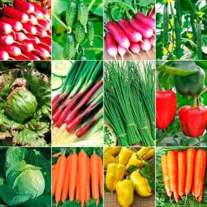 ������. ������� �����.����������"B&S�Product" - ����������� 1