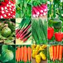 ������� � ����������: ������. ������� �����.����������"B&S�Product"