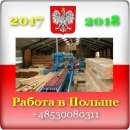 ������� � ����������: ������, �������� 2017 � ������. ���������