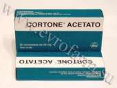 ������� � ����������: ������ �������� 25�� ���� �25.