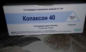 ������ �������� 40 - ����������� 1