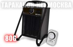 ������ �������� 80 �/���, ��� ����������� ���������, � ��������� �� ������ � ��. - ����������� 1