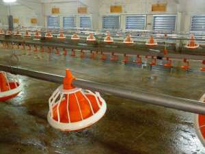 ������ �������� - ����������� 1